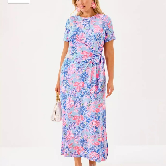 NWT $168 Lilly Pulitzer XL Chace Maxi Dress in “Elephant Splash” - Picture 5 of 9